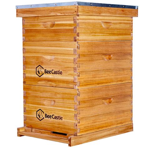 betcastle|betcastle.com.